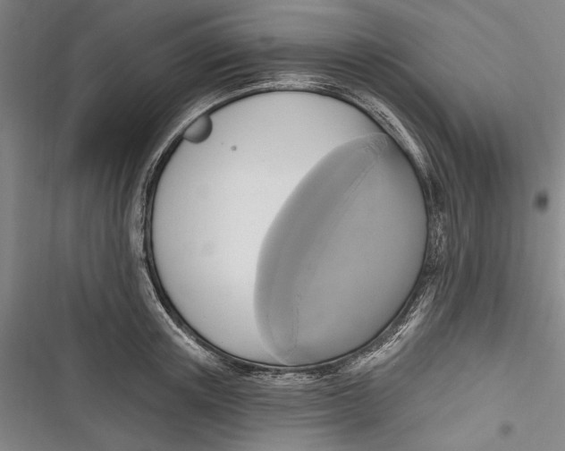 X0000116850851201001121218