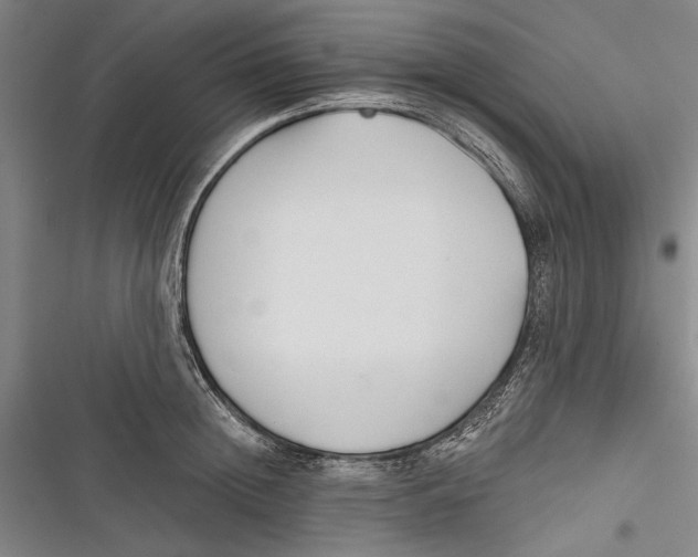 X0000116850852201001121218
