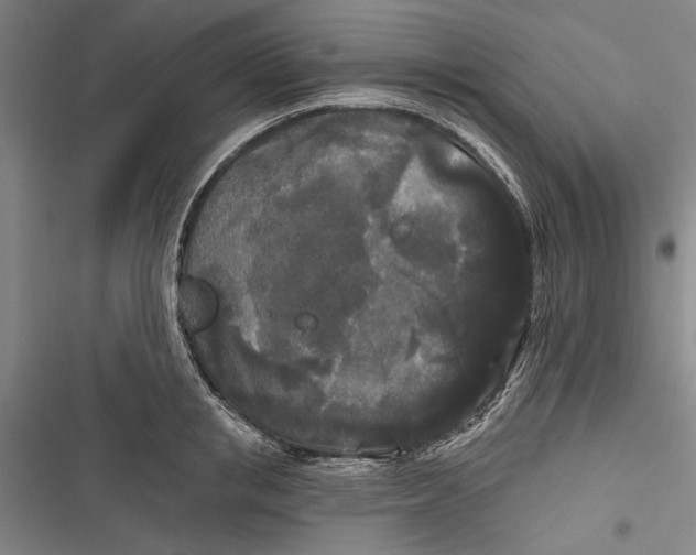 X0000116850853201001121218