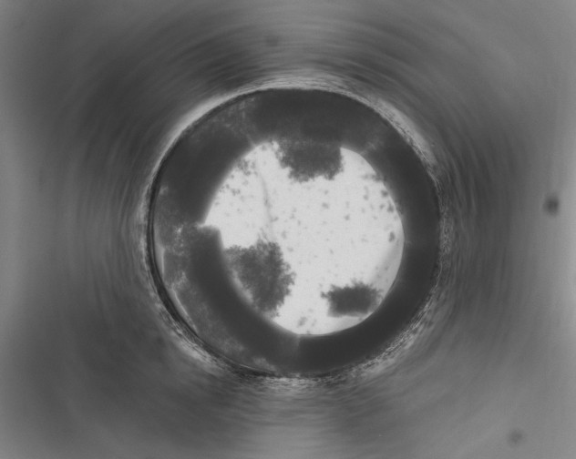 X0000116850854201001121218