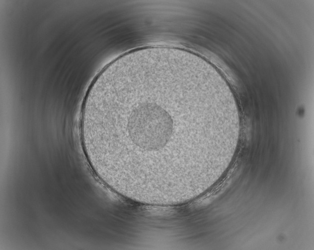 X0000116850856201001121218