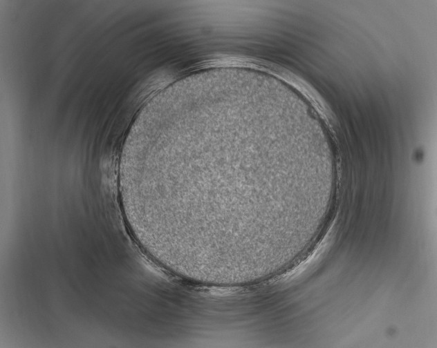 X0000116850857201001121218