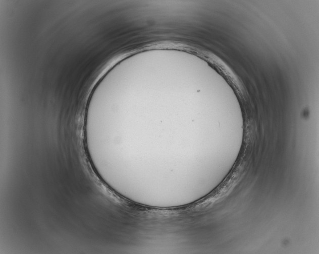 X0000116850860201001121218