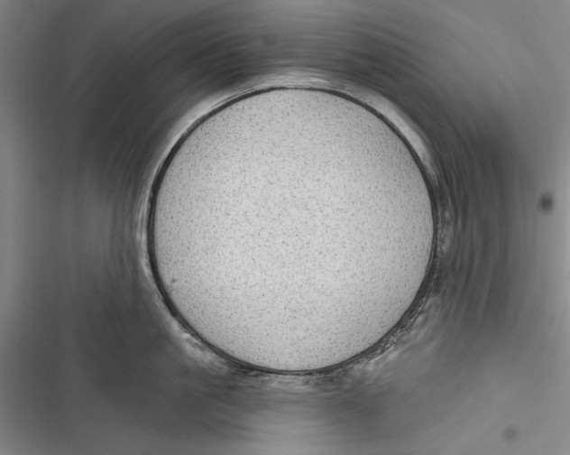 X0000116850861201001121218