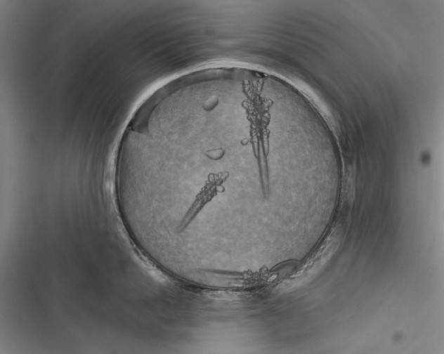 X0000116850862201001121218