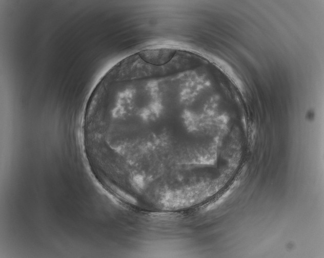 X0000116850863201001121218