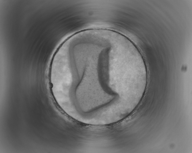 X0000116850864201001121218