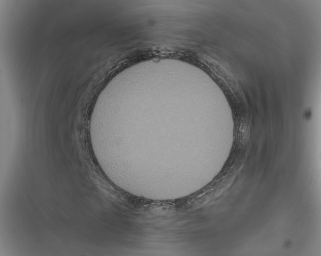 X0000116850865201001121218