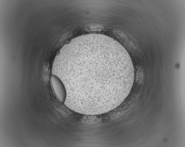 X0000116850866201001121218