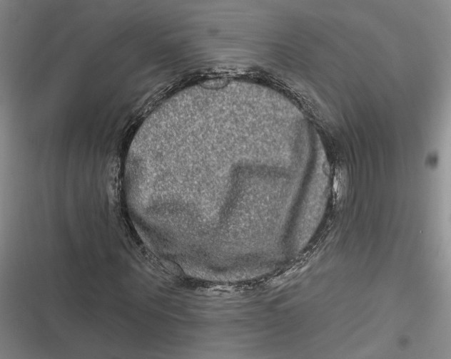 X0000116850867201001121218