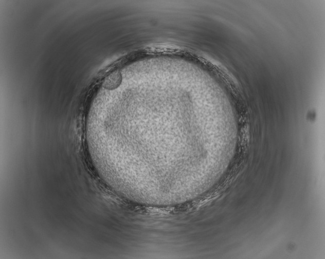 X0000116850870201001121218