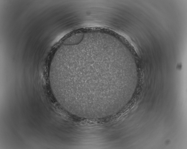 X0000116850871201001121218