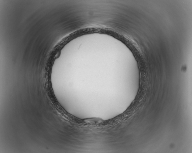 X0000116850872201001121218