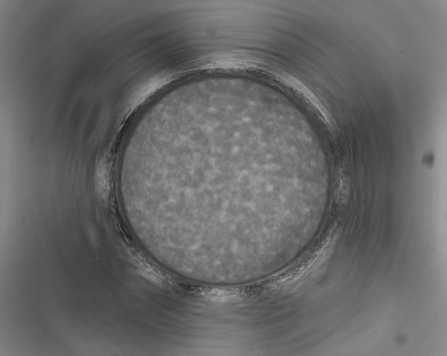 X0000116850874201001121218