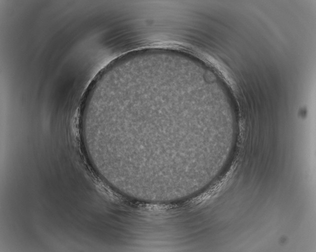 X0000116850875201001121218