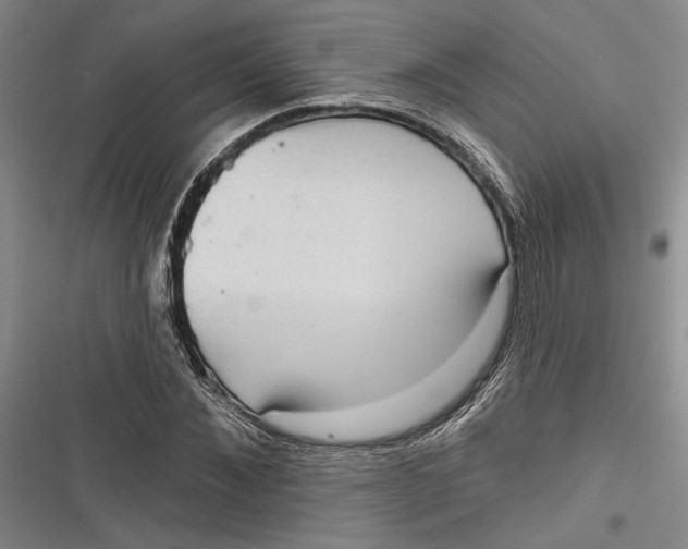 X0000116850876201001121218