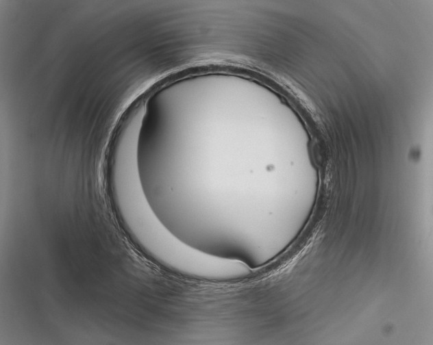 X0000116850877201001121218