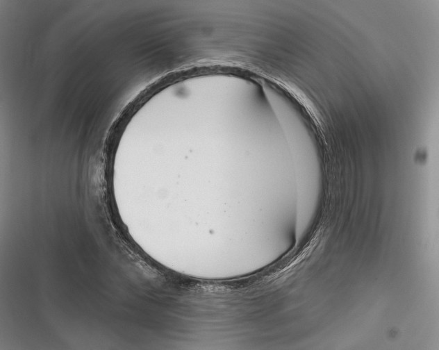 X0000116850878201001121218