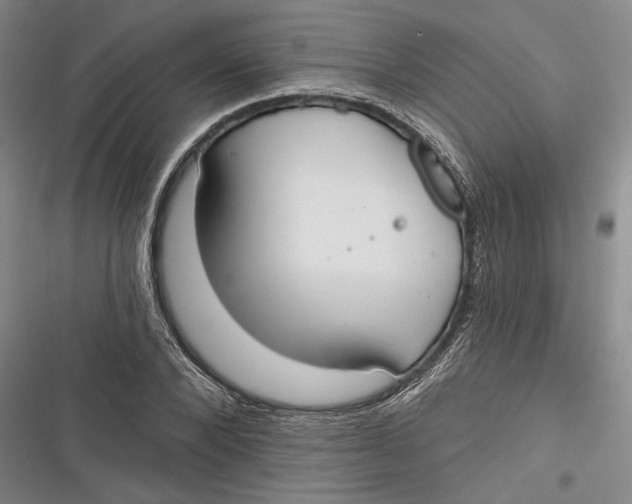 X0000116850880201001121217