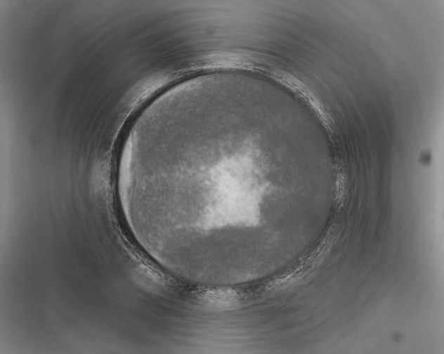X0000116850882201001121217