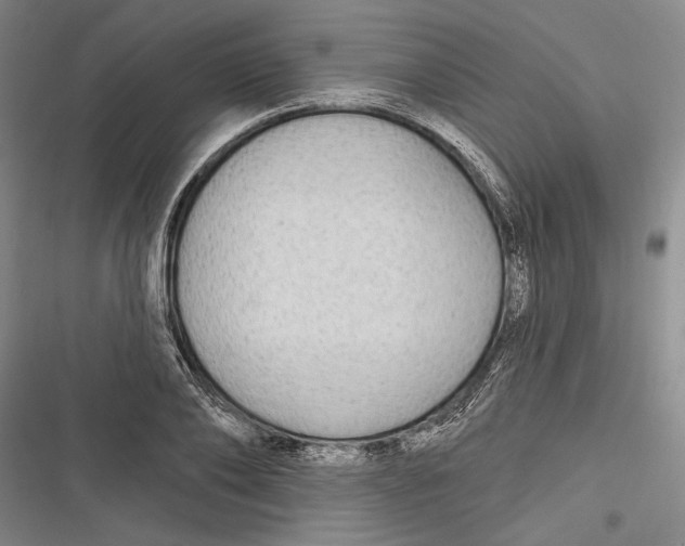 X0000116850886201001121217