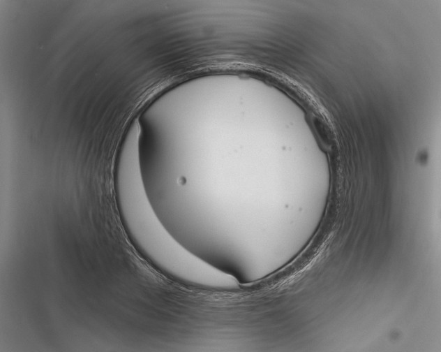 X0000116850889201001121217