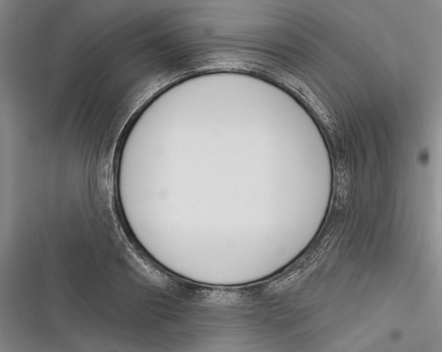 X0000116850890201001121217