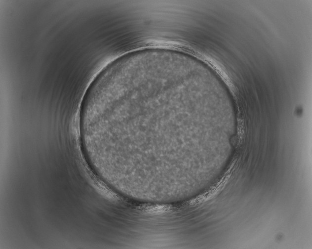 X0000116850891201001121217