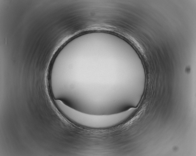 X0000116850893201001121217