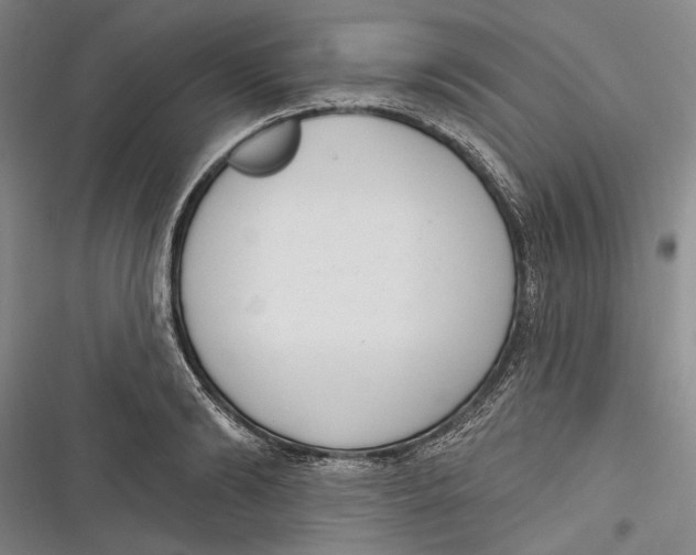 X0000116850894201001121217