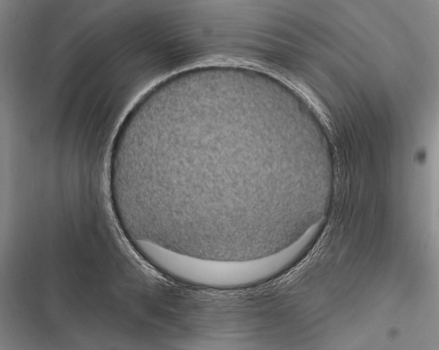 X0000116850896201001121217
