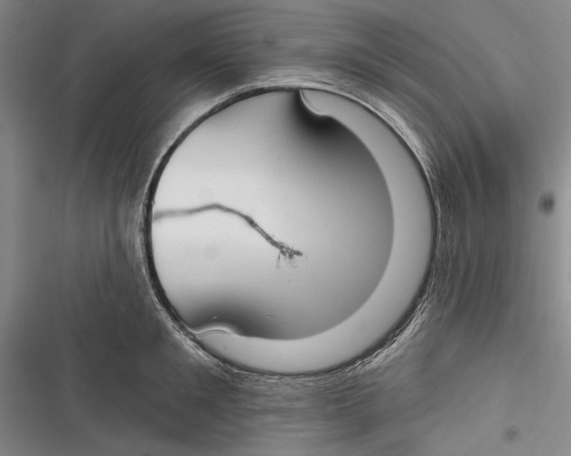 X0000116850901201001121217