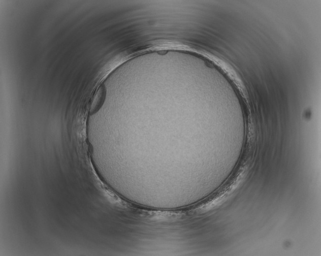 X0000116850905201001121217