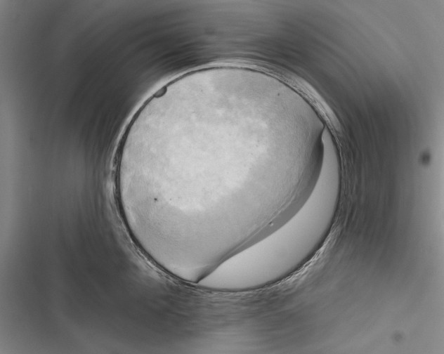 X0000116850908201001121217