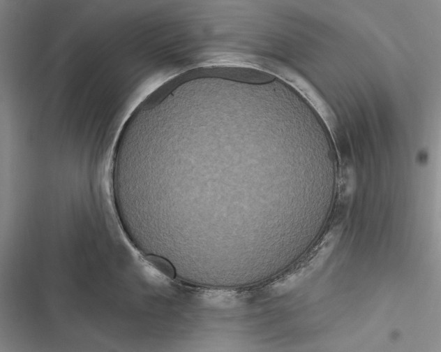 X0000116850909201001121217