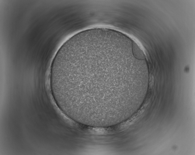 X0000116850911201001121217