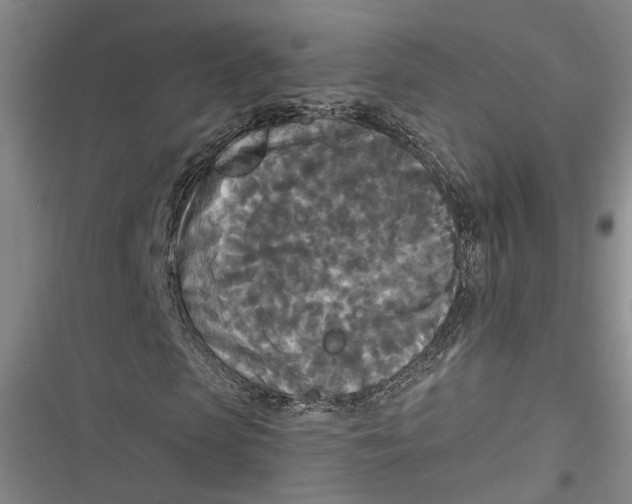 X0000116850913201001121216
