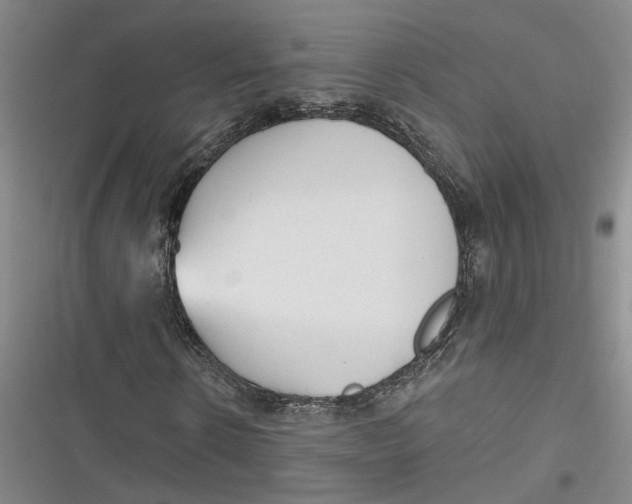 X0000116850914201001121216