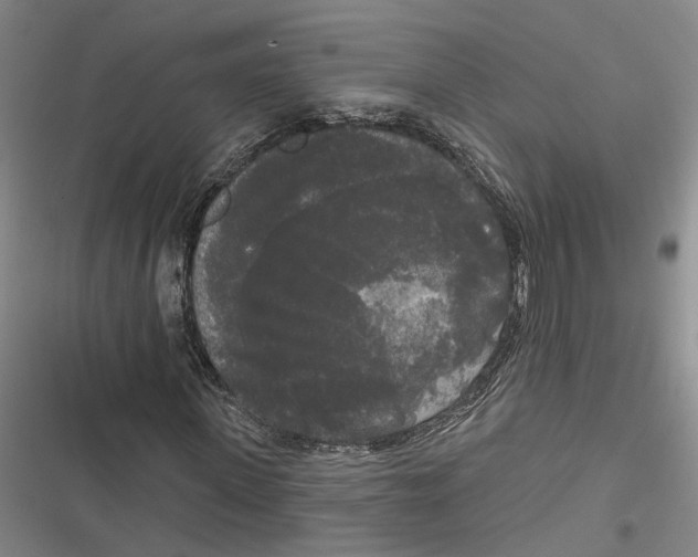 X0000116850915201001121216