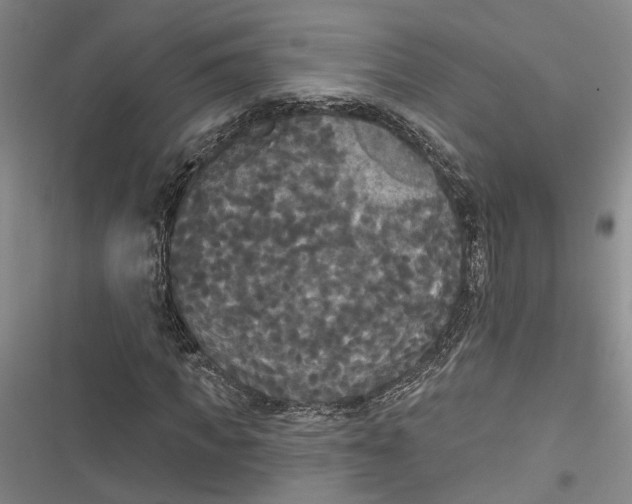 X0000116850917201001121216