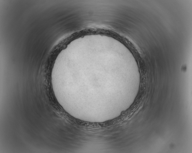 X0000116850919201001121216
