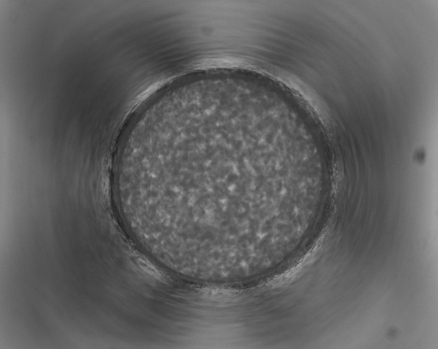 X0000116850921201001121216