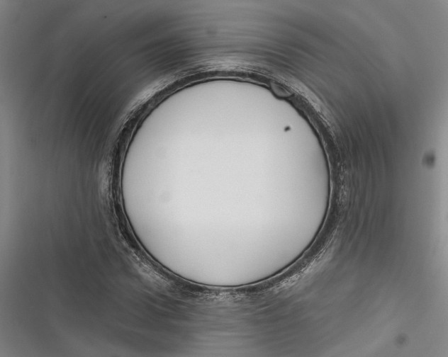 X0000116850922201001121217