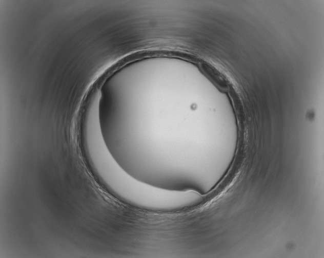 X0000116850925201001121217