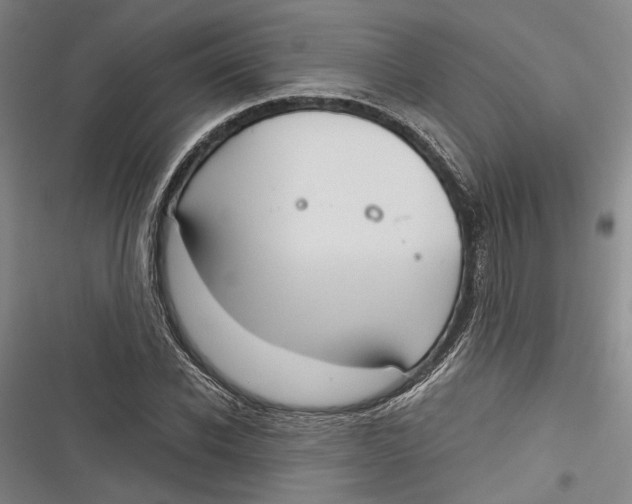 X0000116850926201001121217