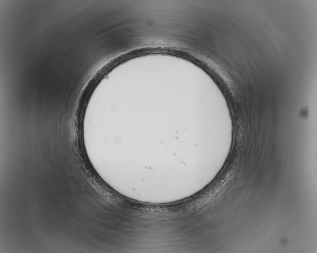X0000116850927201001121217