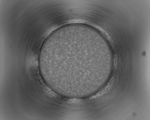 X0000116850929201001121217