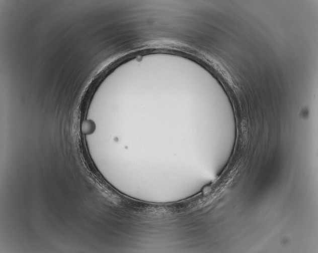 X0000116850931201001121217