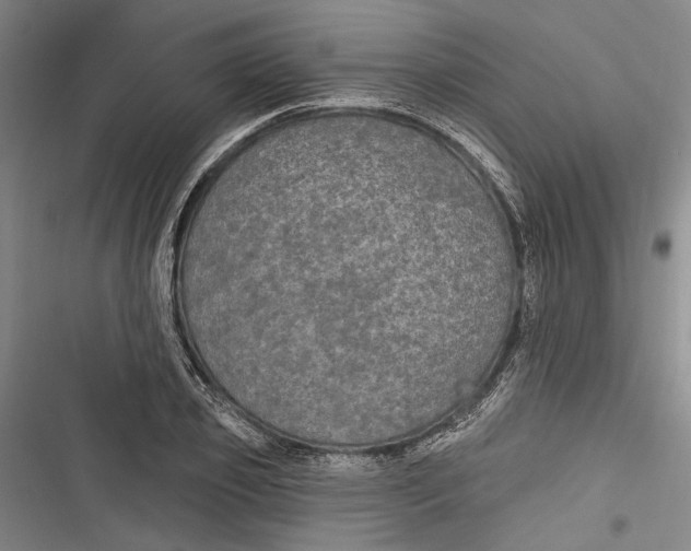 X0000116850933201001121217