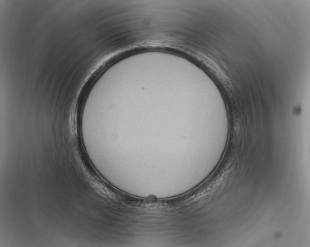 X0000116850934201001121217